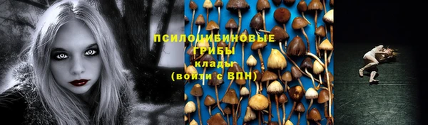 гашик Арсеньев