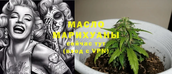 гашик Арсеньев