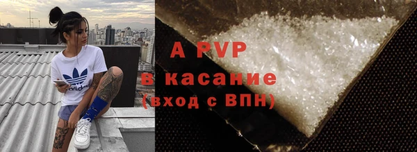 гашик Арсеньев