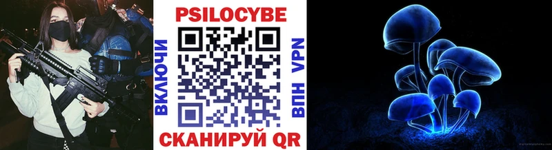 купить  цена  Новотитаровская  Псилоцибиновые грибы GOLDEN TEACHER 